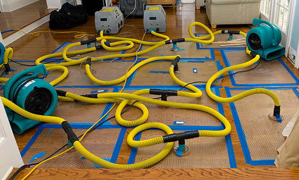 Professional Burst Pipe Water Damage technician working in Boaz, AL